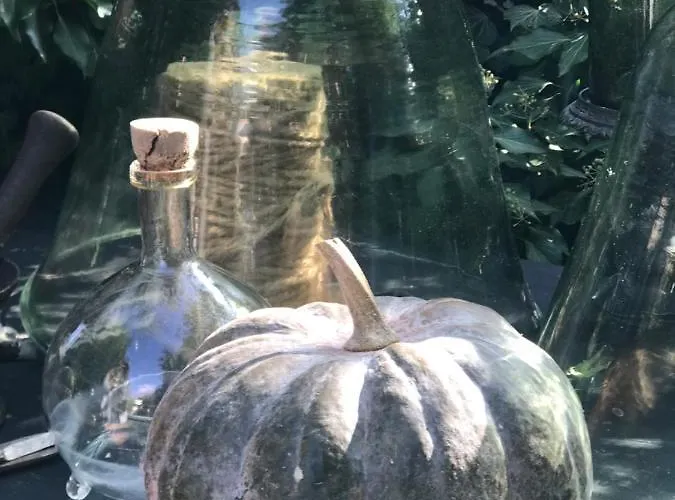 Un Verger Dans La Bed & Breakfast Saint-Parres-aux-Tertres