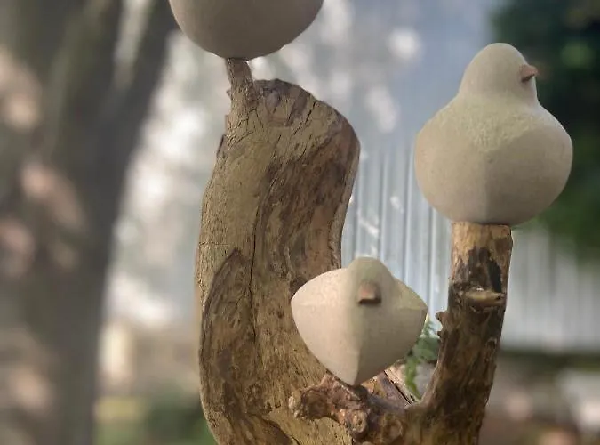 Bed & Breakfast Un Verger Dans La *