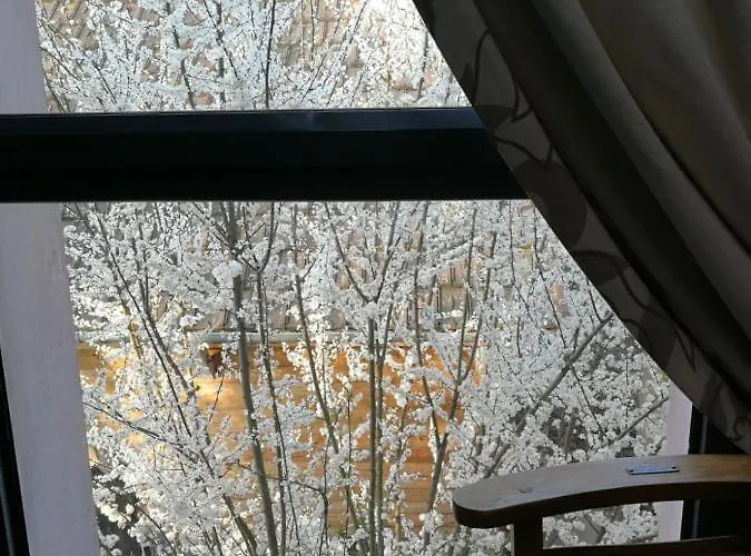 Un Verger Dans La * Saint-Parres-aux-Tertres