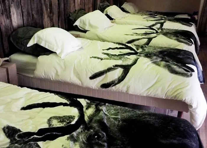 Un Verger Dans La Saint-Parres-aux-Tertres